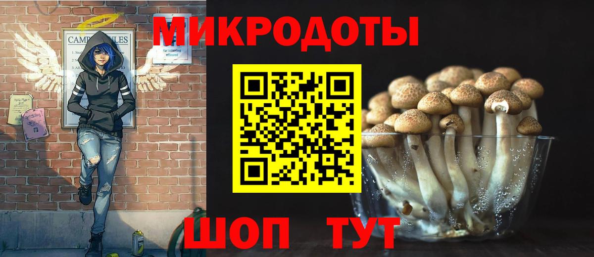 Псилоцибиновые грибы Magic Shrooms  Вход с VPN  закладки  Будённовск 
