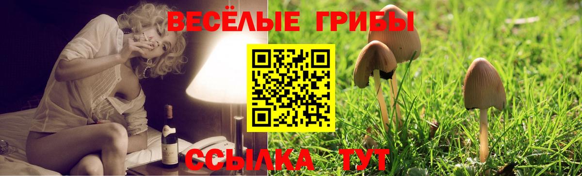 Галлюциногенные грибы Magic Shrooms Будённовск